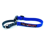 Black Dog Wear Training Collar