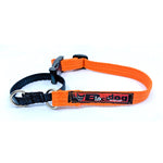 Black Dog Wear Training Collar