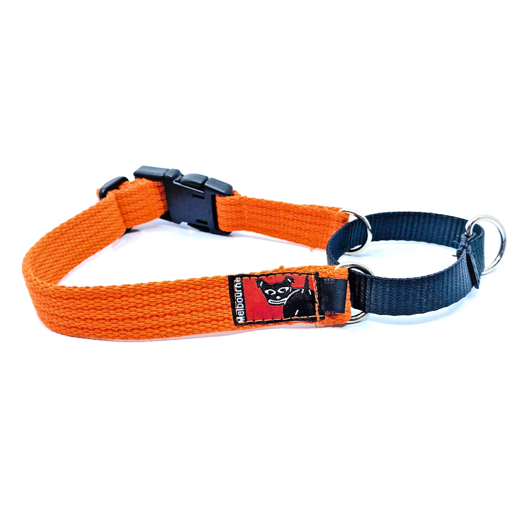 Black Dog Wear Training Collar