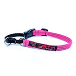Black Dog Wear Training Collar