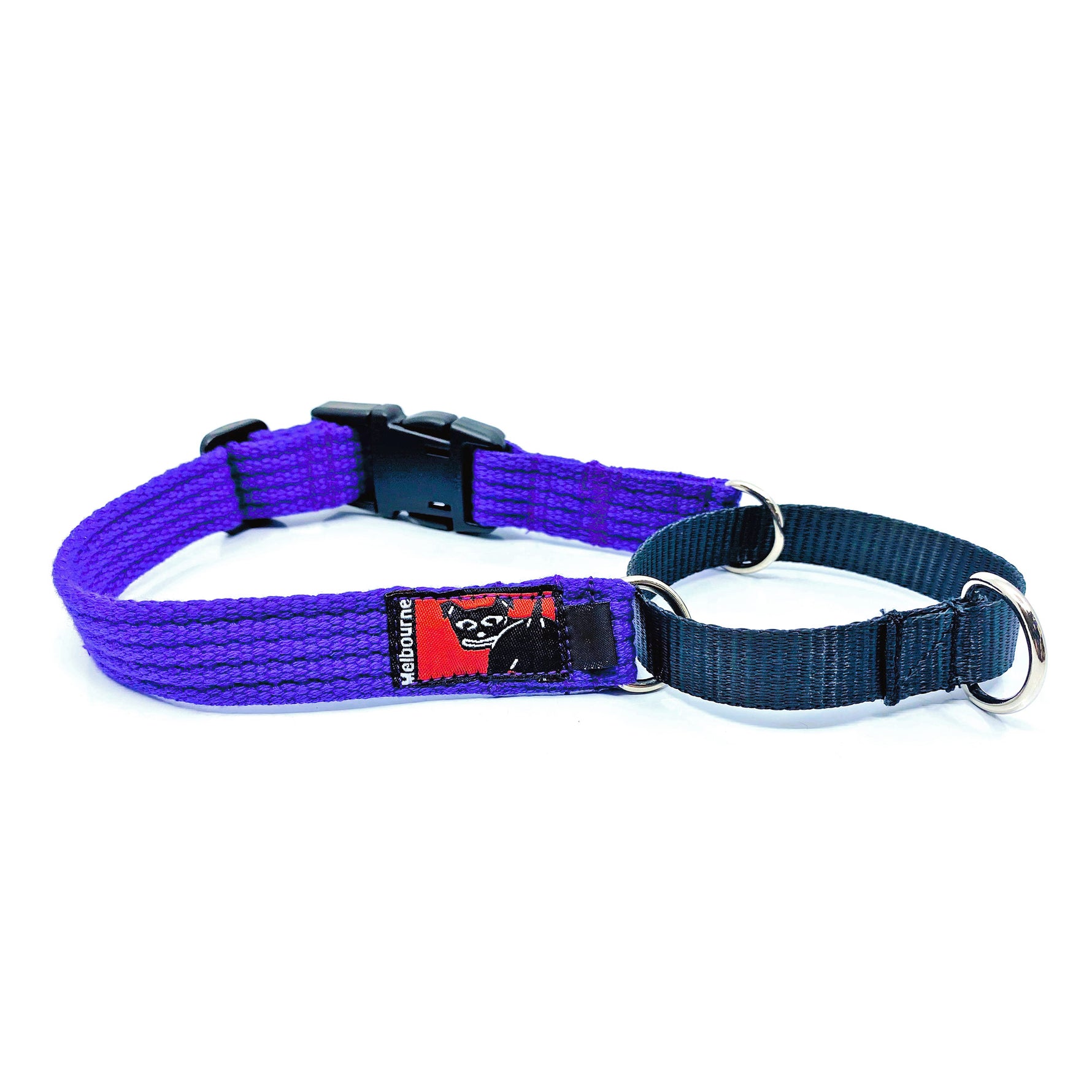 Black Dog Wear Training Collar