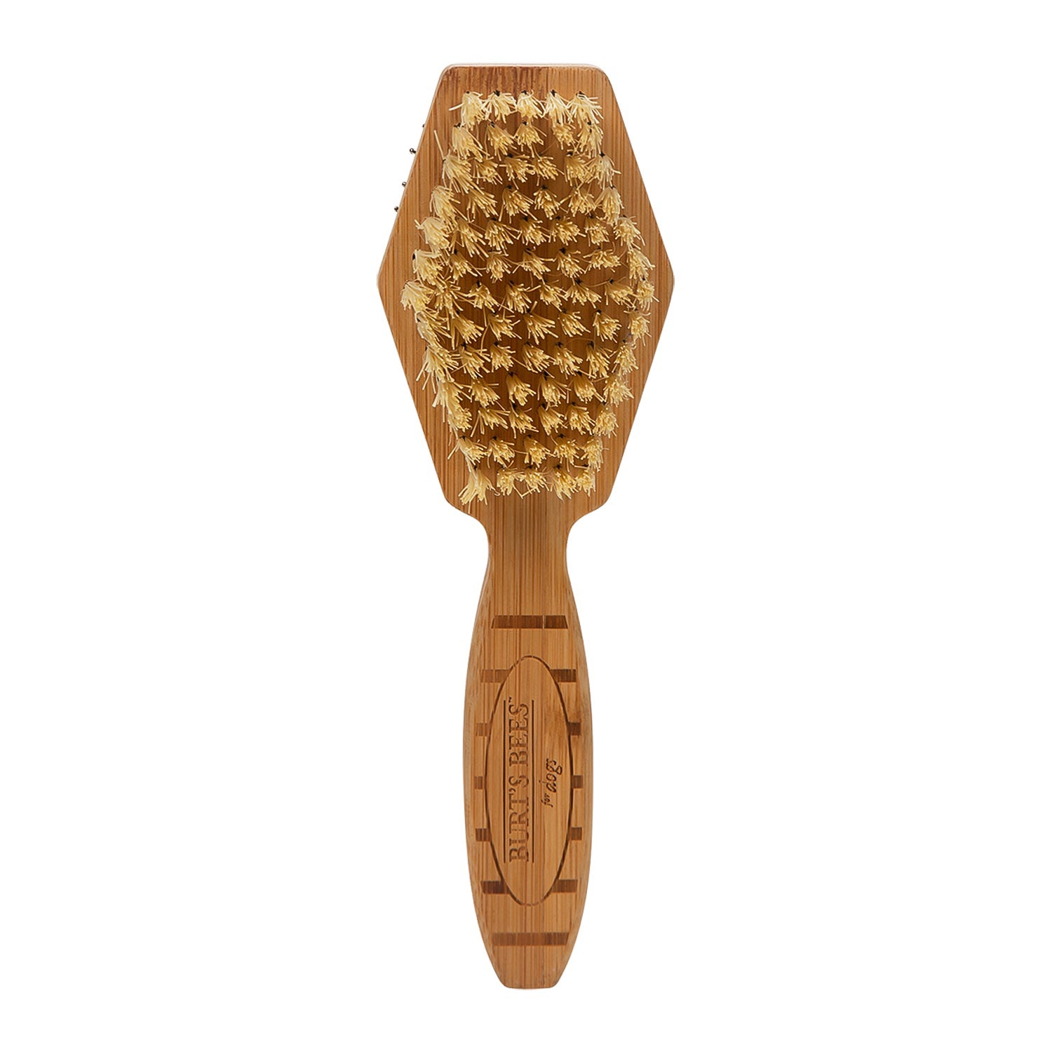 Burt's Bees Double Sided Pin & Bristle Brush for Dogs