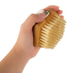 Burt's Bees Palm Bristle Brush for Dogs