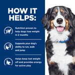 Hill's Prescription Diet j/d Metabolic+ Mobility Wet Dog Food 370g x 12