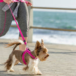 Rogz Utility Classic Fixed Length Lead