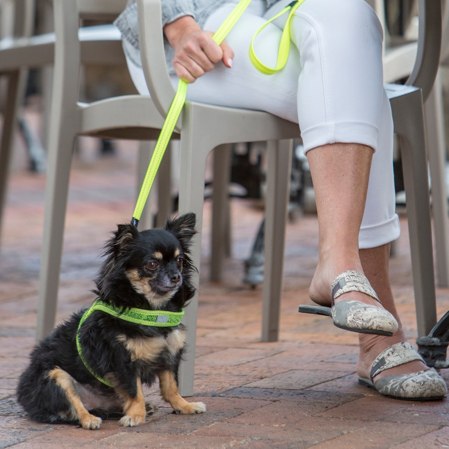Rogz Utility Classic Fixed Length Lead
