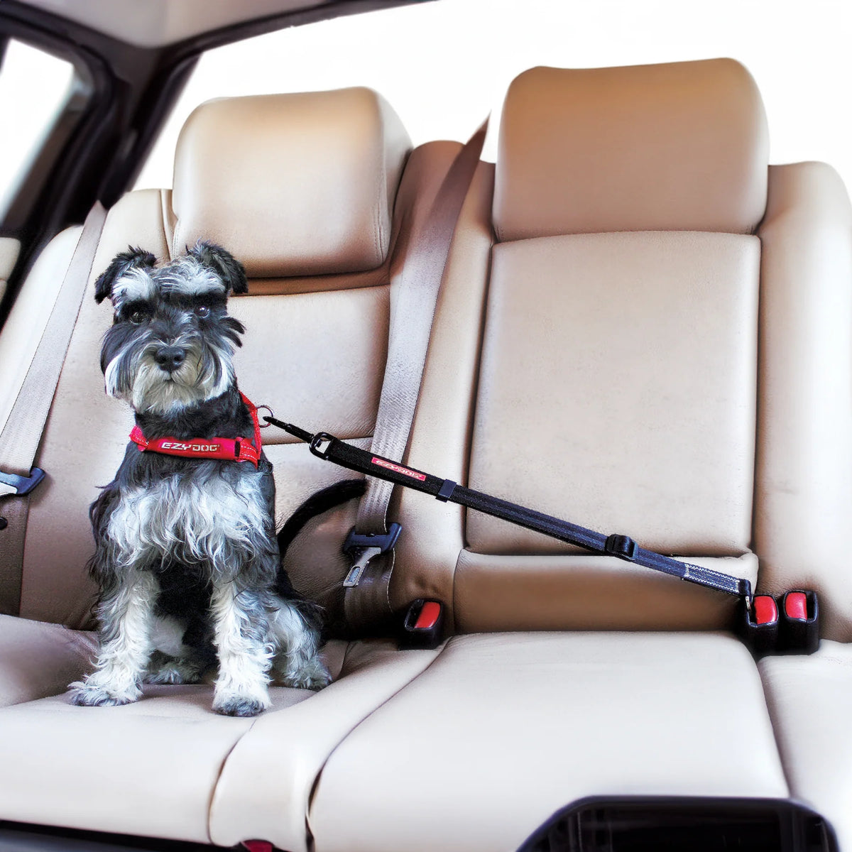 EzyDog Click Adjustable Dog Car Seat Belt