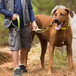 Rogz Utility Control Lead