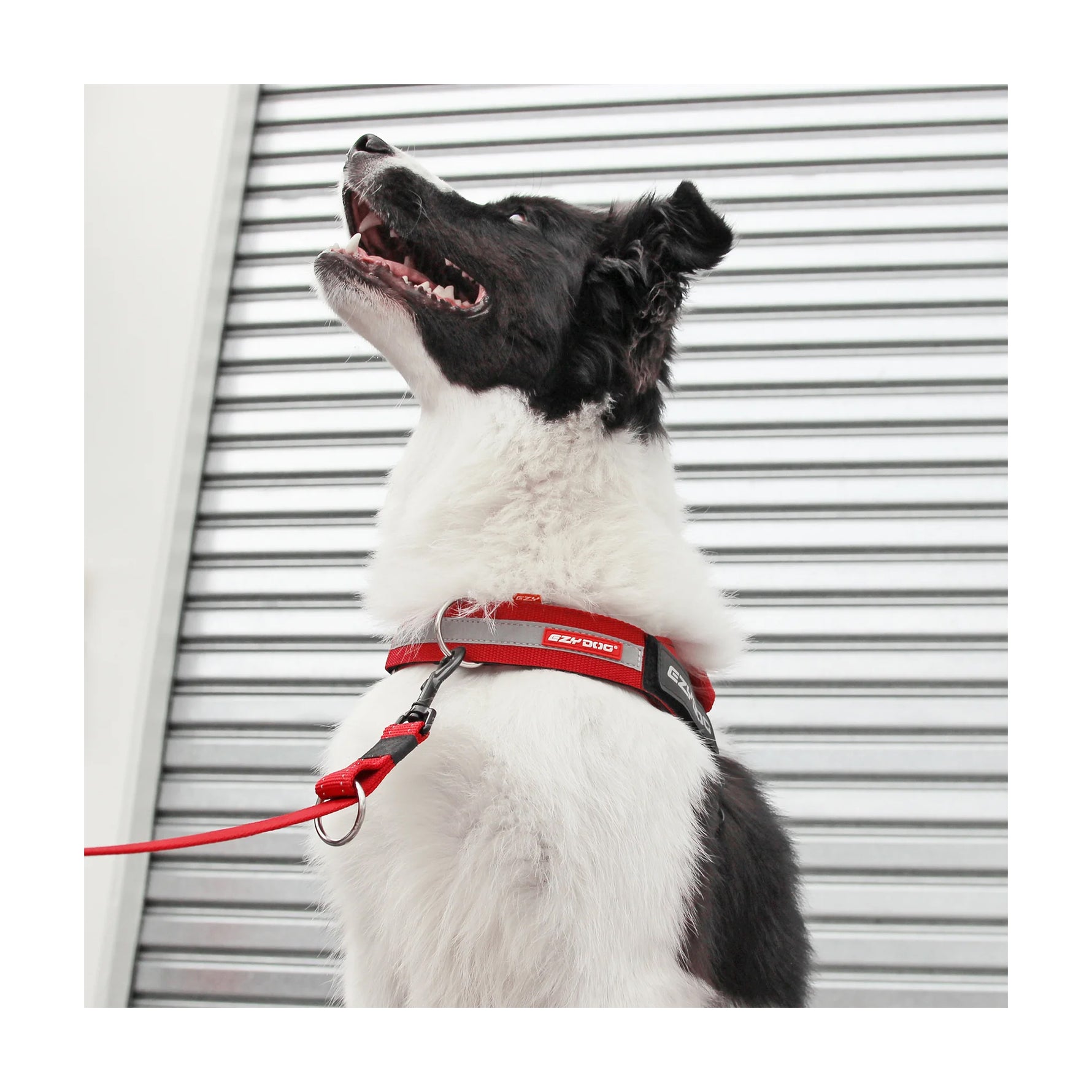 EzyDog UpFront D-Ring Attachment