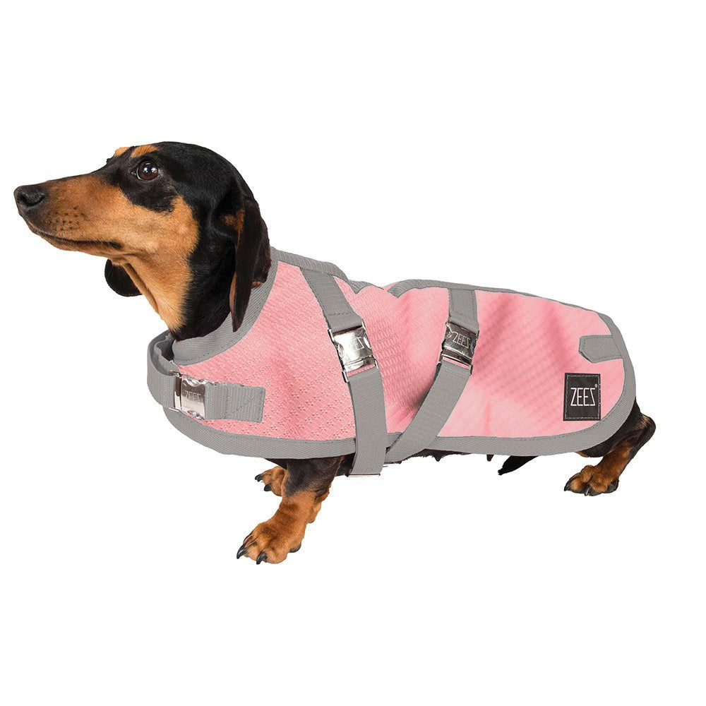 Dog Apparel