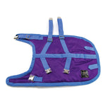 ZeeZ Supreme Dachshund Dog Coat - Grape Purple/Blue