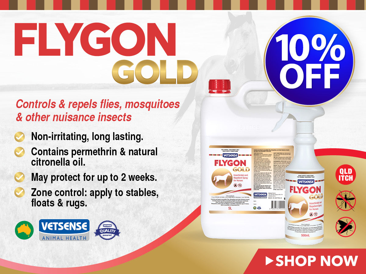 Flygon Gold ON SALE NOW