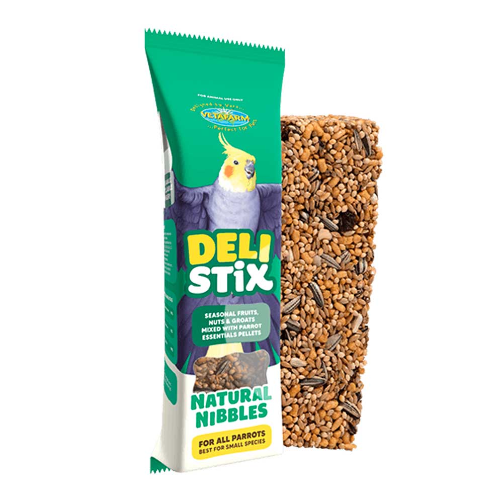 Vetafarm DeliStix Natural Nibbles Treat Bar for Small Parrots
