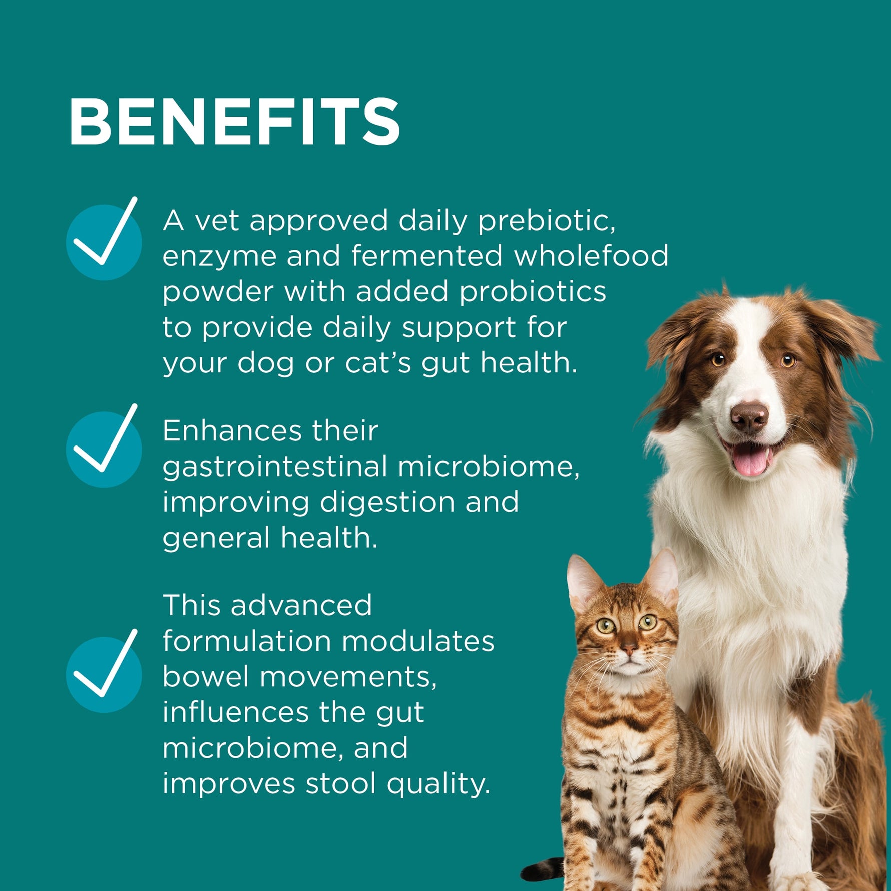 PAW DigestiCare Pre + Probiotic Support 143g