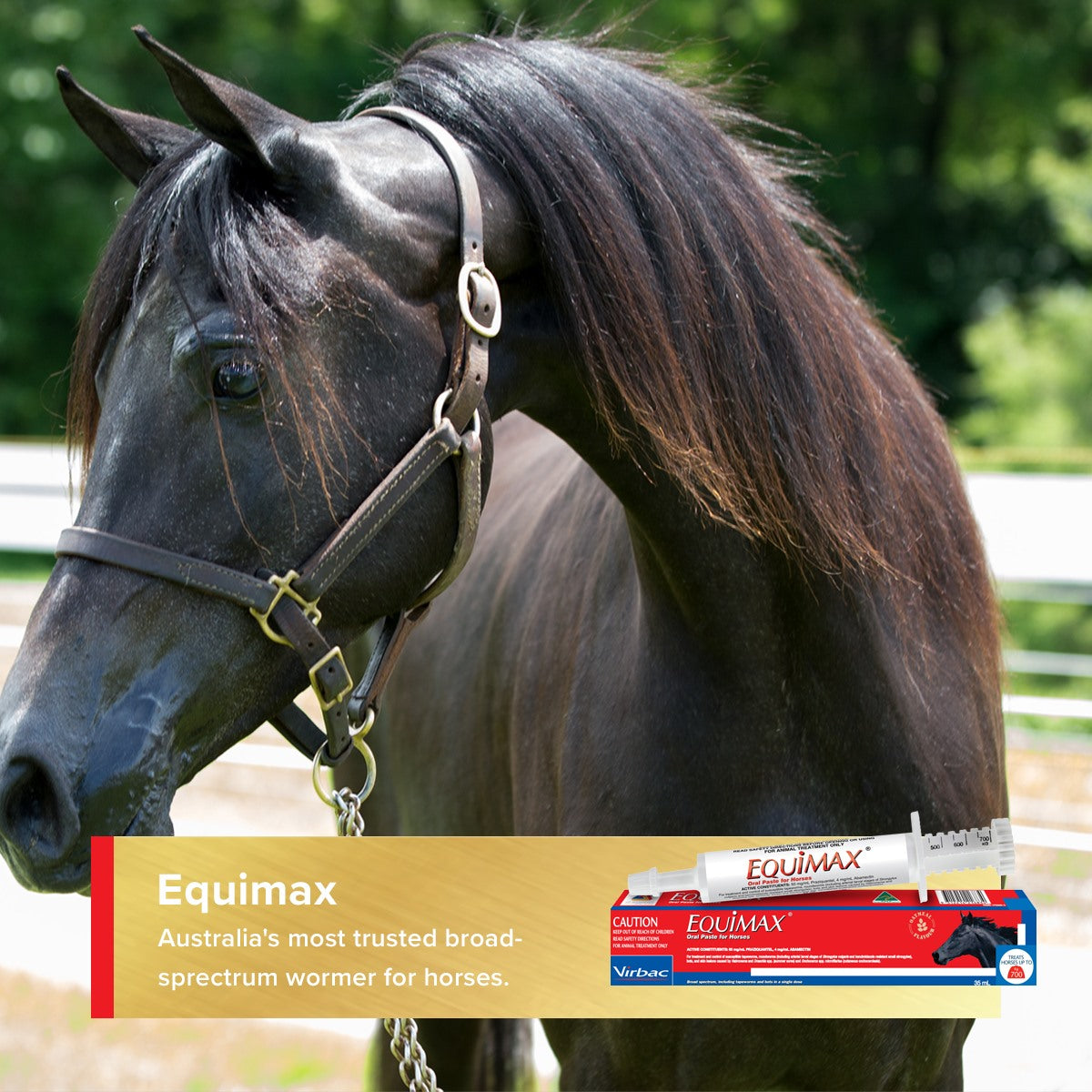 Equimax Oral Wormer Paste for Horses 35mL