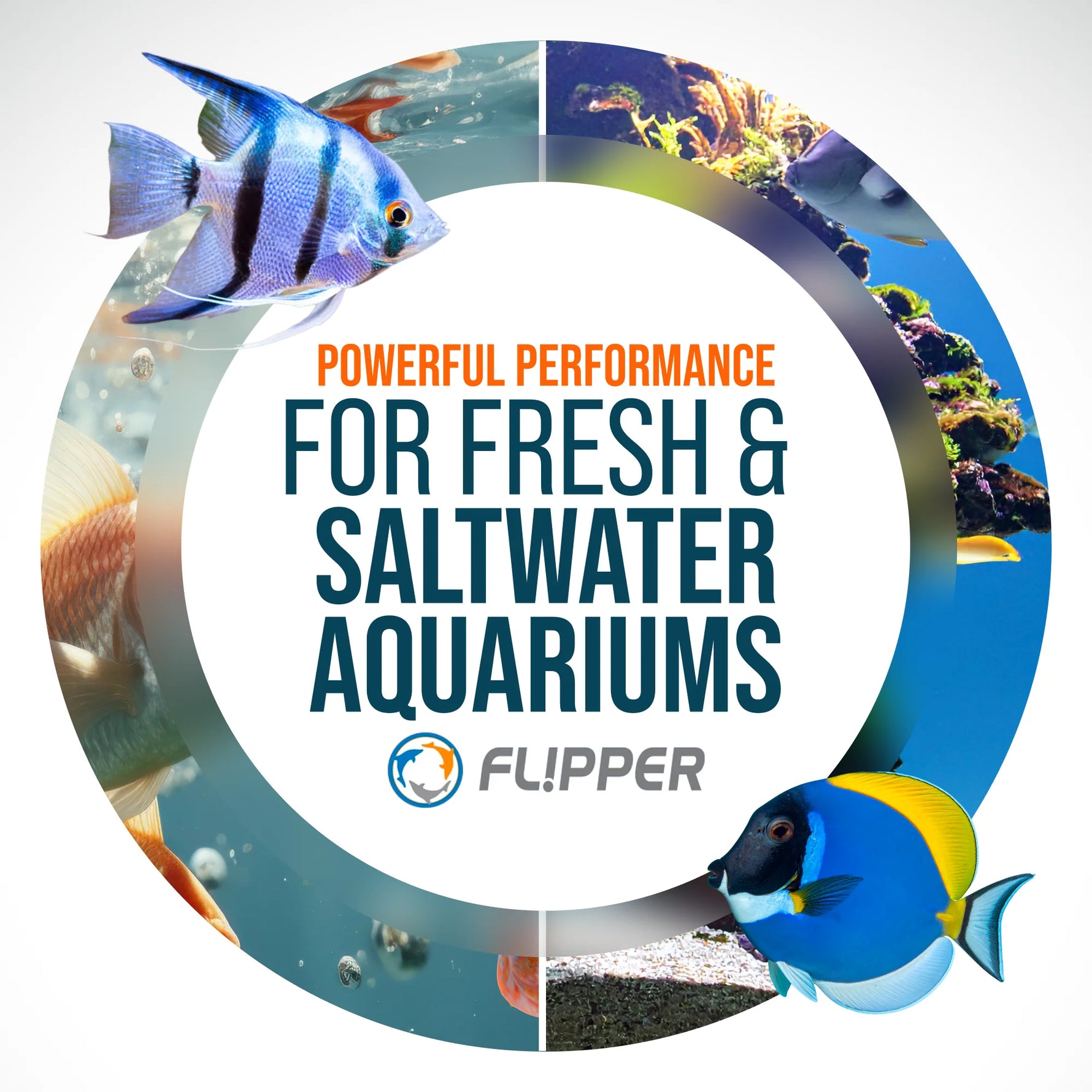 Flipper Edge Dual Blade Magnetic Aquarium Algae Cleaner