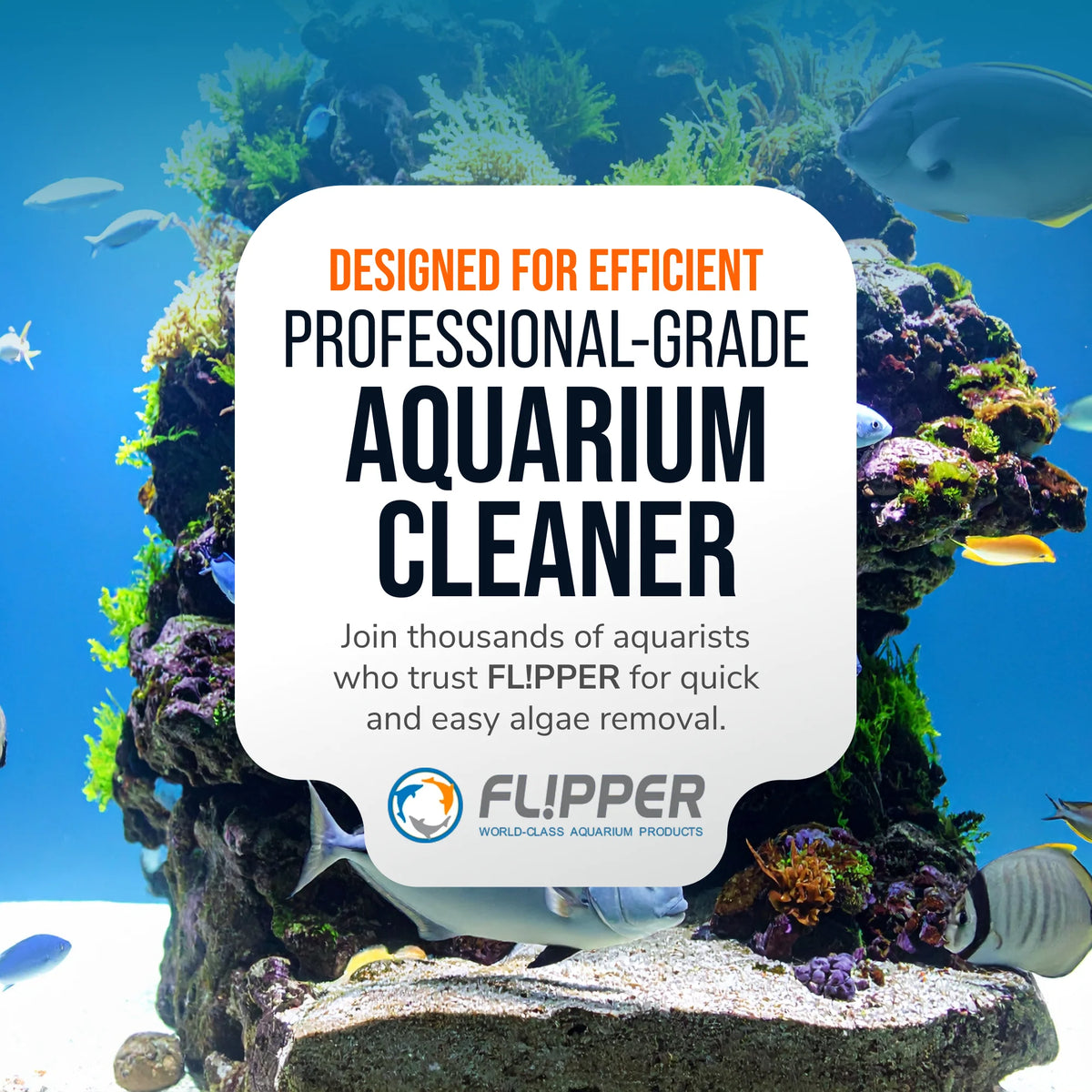 Flipper Edge Dual Blade Magnetic Aquarium Algae Cleaner