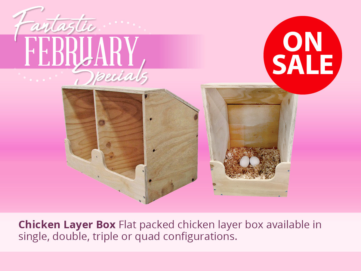Chicken Layer Boxes ON SALE NOW