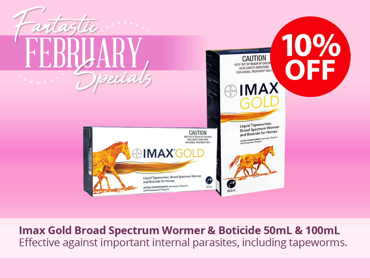 IMAX Gold ON SALE NOW