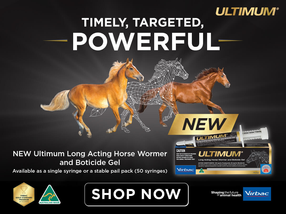 Horse Wormers Pastes and Pellets vetnpet DIRECT