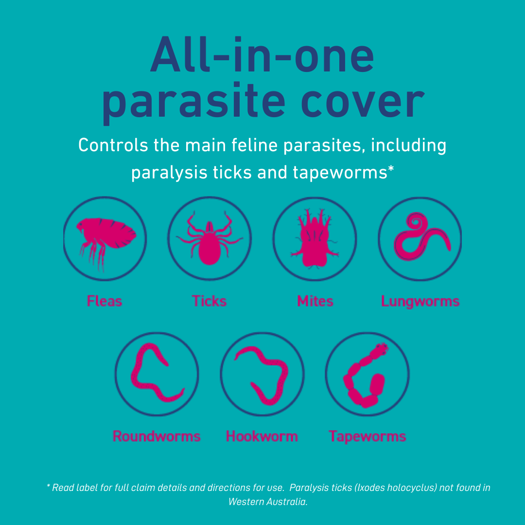 Felpreva Spot-On for Large Cats 5-8kg