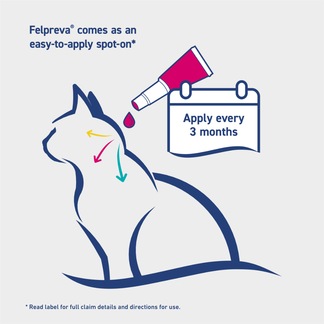 Felpreva Spot-On for Large Cats 5-8kg