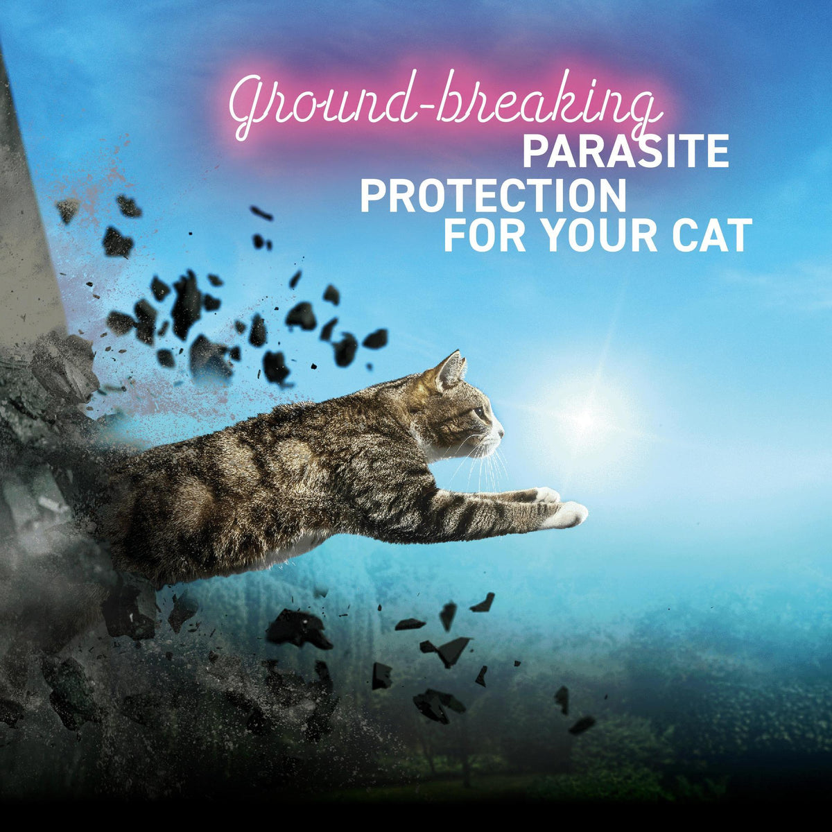 Felpreva Spot-On for Large Cats 5-8kg