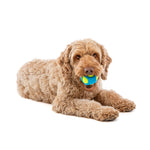 Guru Tennis Max Ball