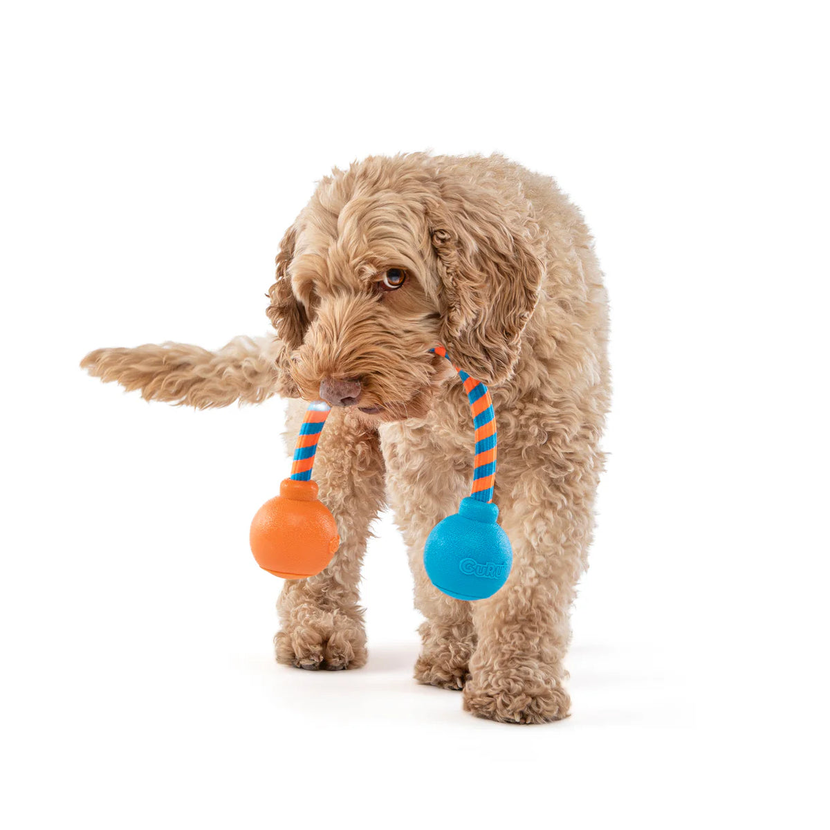 Guru Squeaking Rope