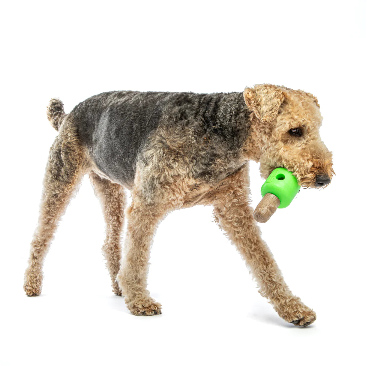 Guru Spin & Treat Stick