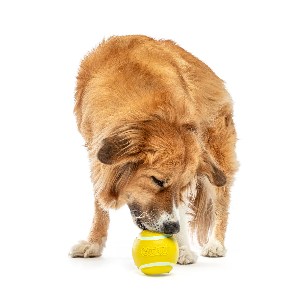 Guru Tennis Treat Ball