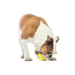 Guru Tennis Treat Ball