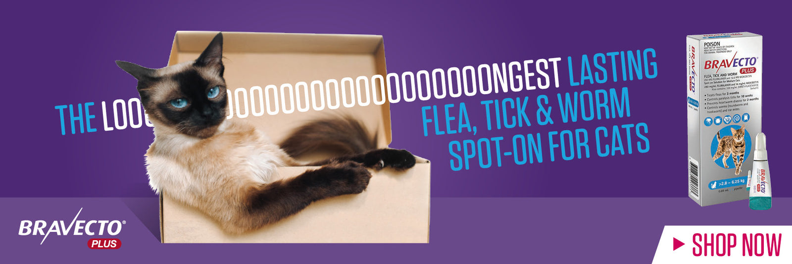 Bravecto Plus Spot-On for Cats
