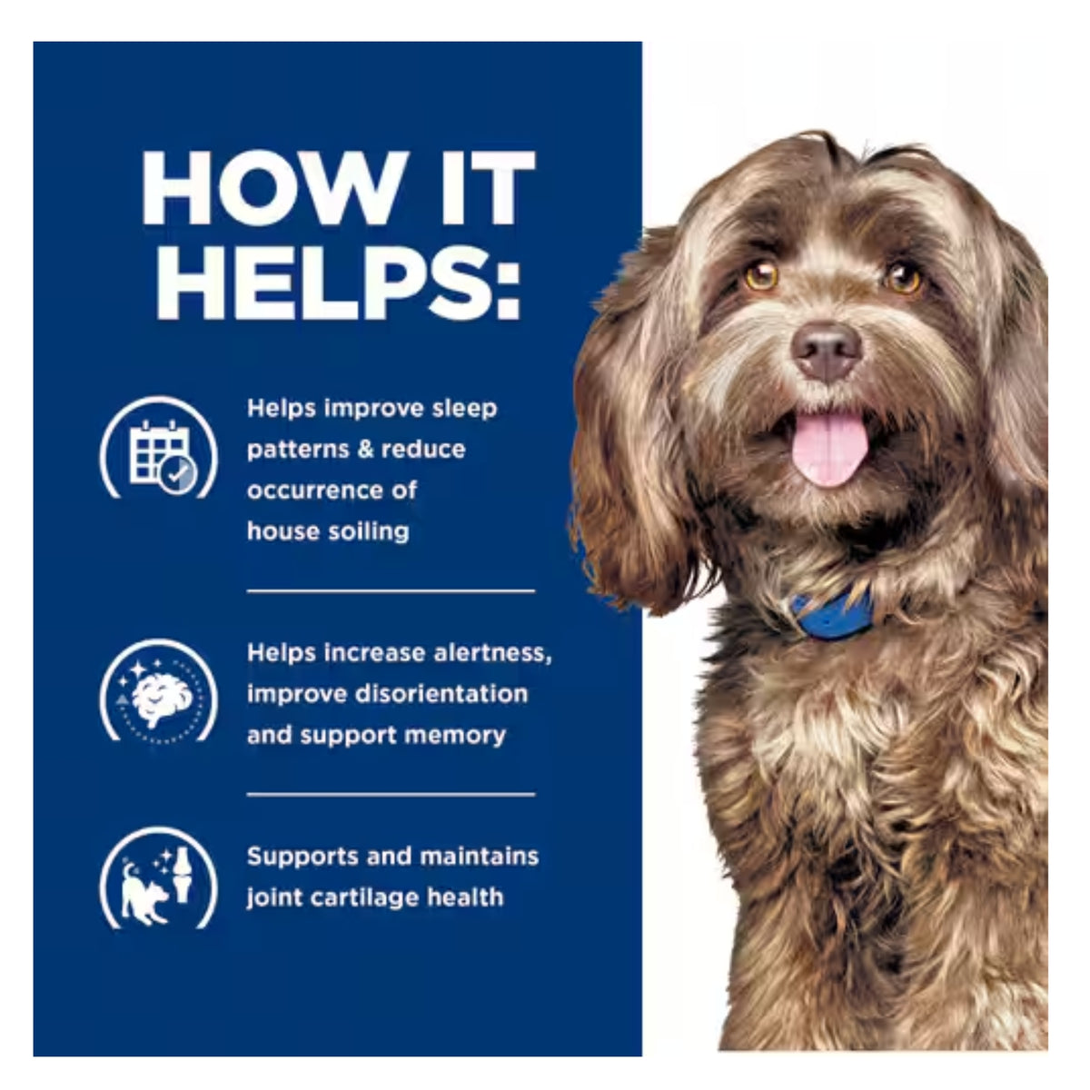 Hill's Prescription Diet Brain Care + j/d Dry Dog Food 3.85kg