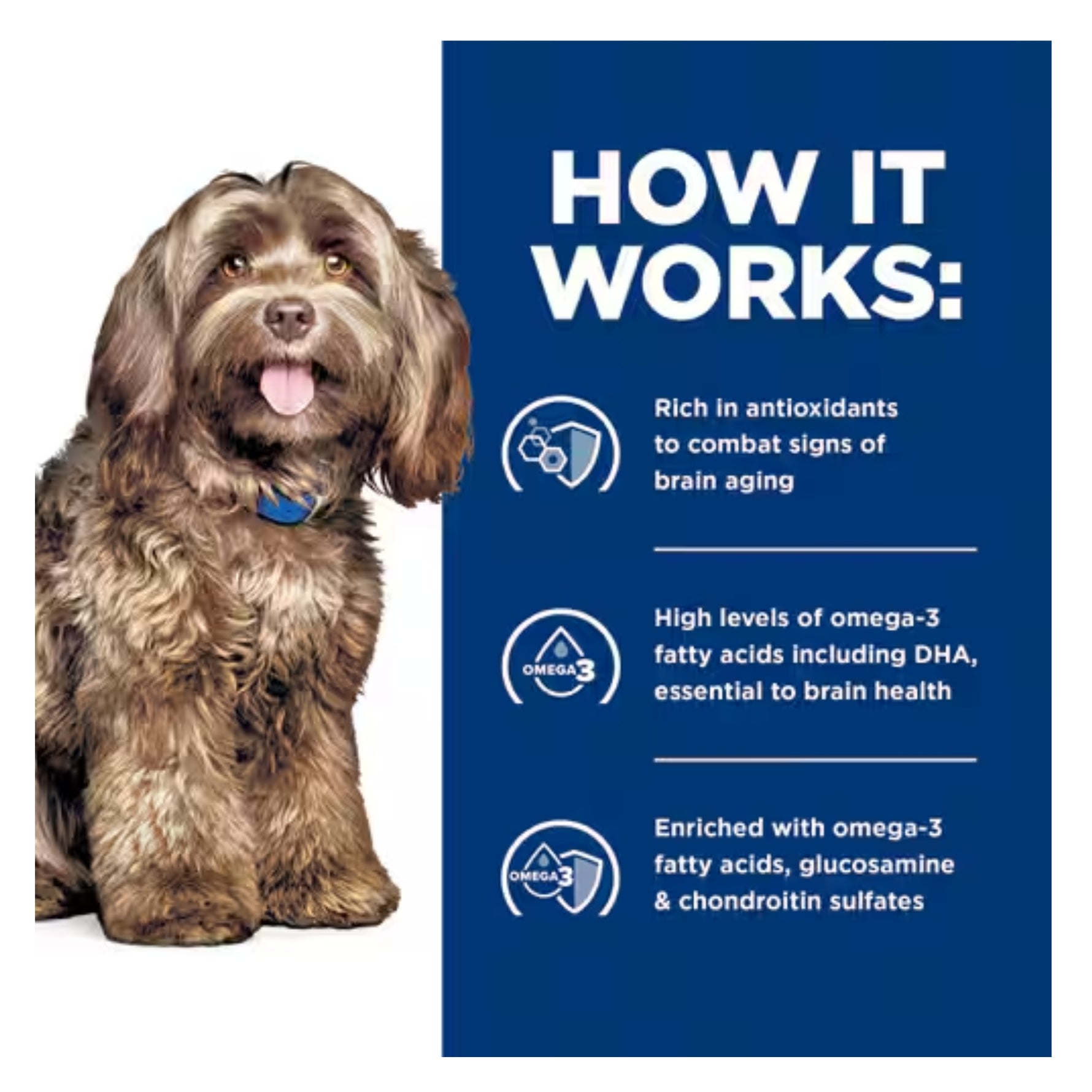 Hill's Prescription Diet Brain Care + j/d Dry Dog Food 3.85kg