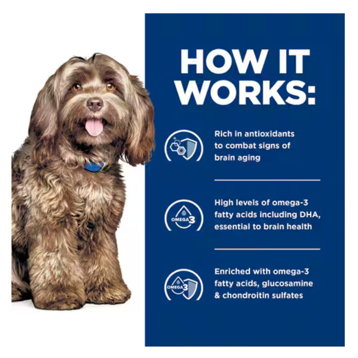 Hill's Prescription Diet Brain Care + j/d Dry Dog Food 3.85kg