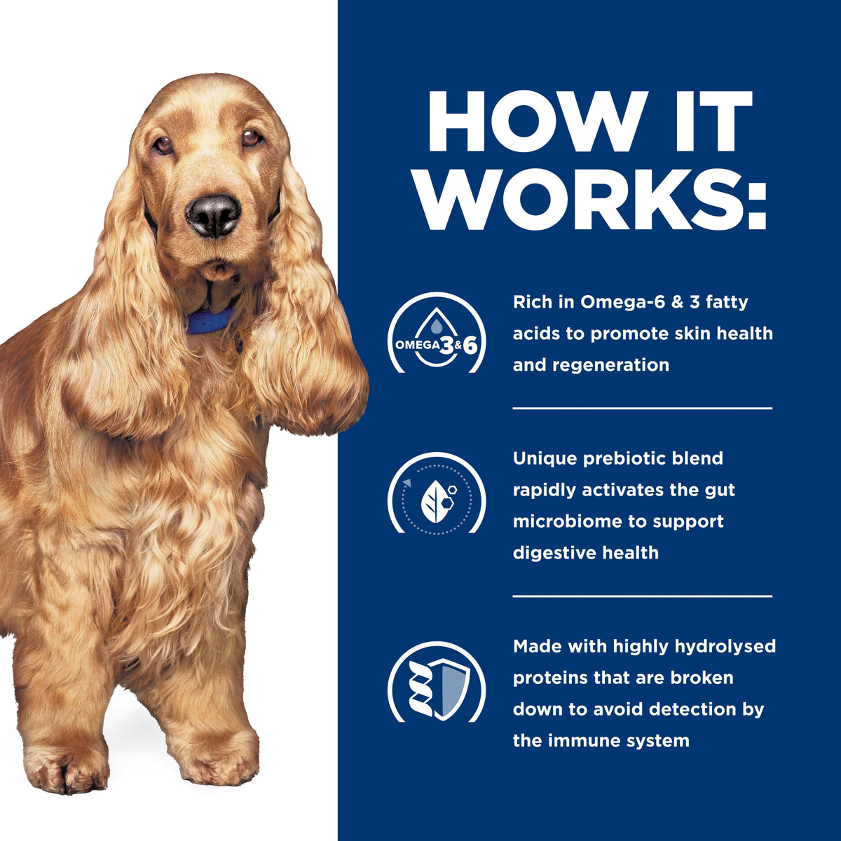 Hill's Prescription Diet Canine z/d Skin & Food Sensitivities