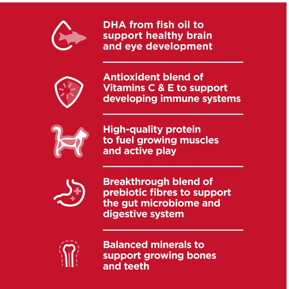 Hill's Science Diet Kitten