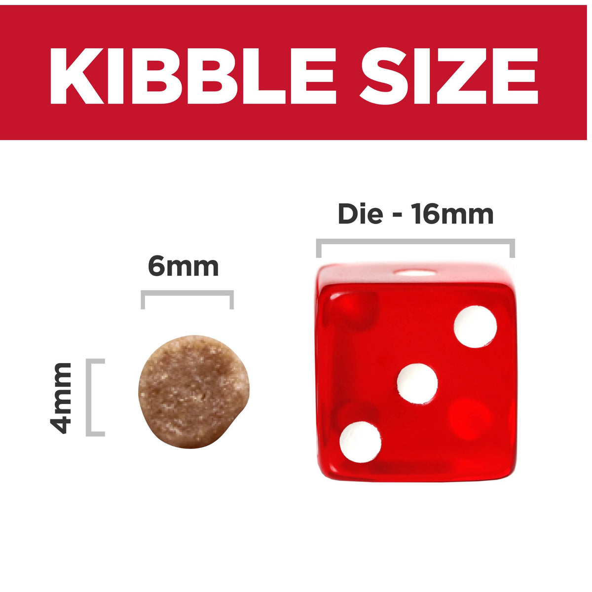 Hill's Science Diet Kitten