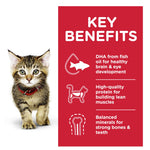 Hill's Science Diet  Kitten w/Ocean Fish 85g x 12