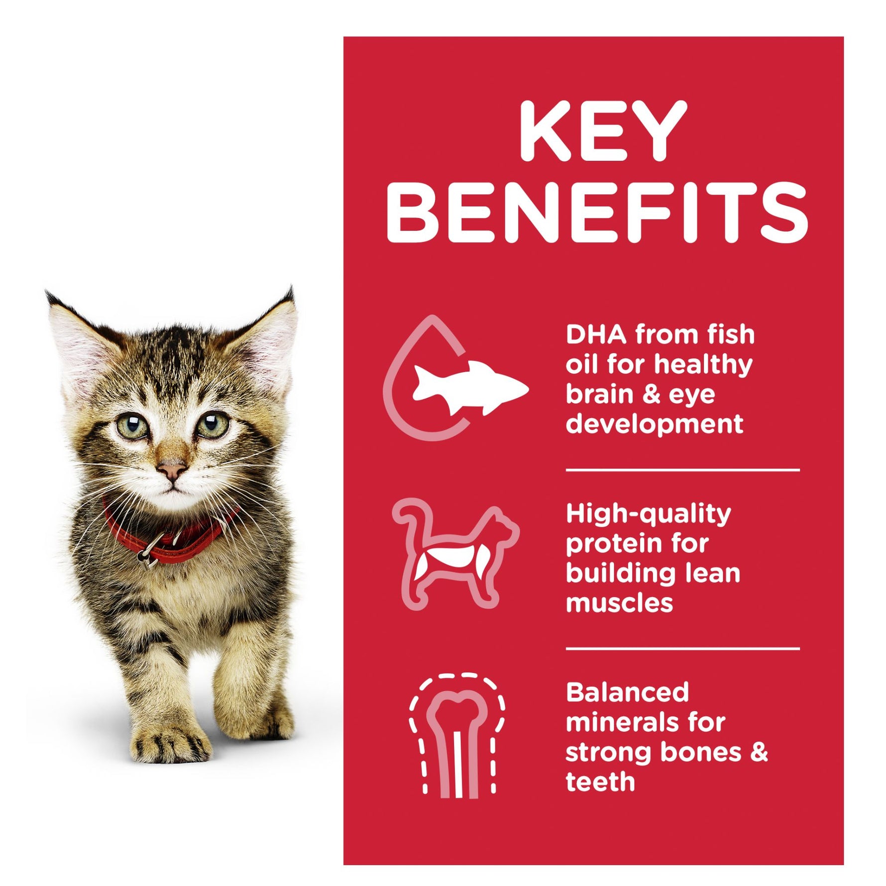 Hill's Science Diet  Kitten w/Ocean Fish 85g x 12