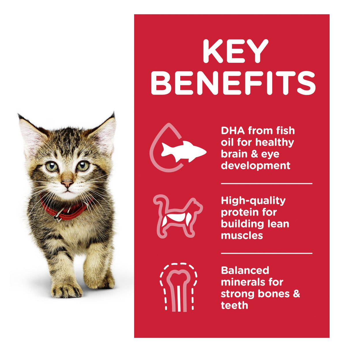 Hill's Science Diet  Kitten w/Ocean Fish 85g x 12