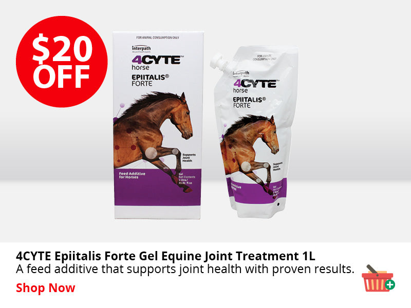 4CYTE Epiitalis Forte Gel Equine Joint Treatment 1L ON SALE NOW
