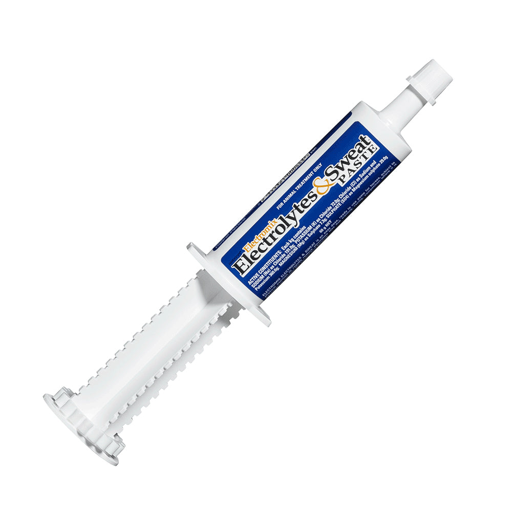 IAH Electromix Electrolytes & Sweat Paste 60g