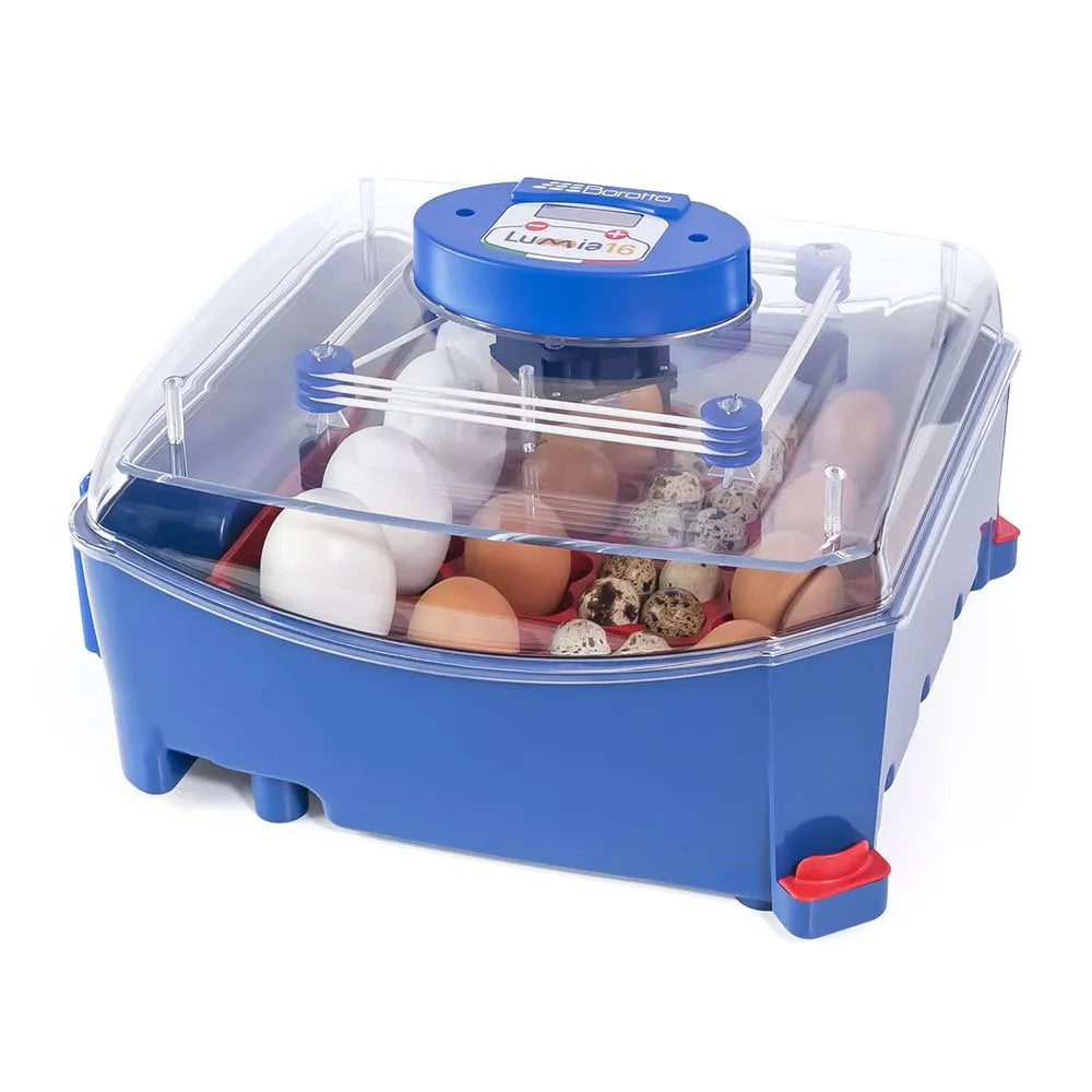 Borotto Lumia 16 Incubator
