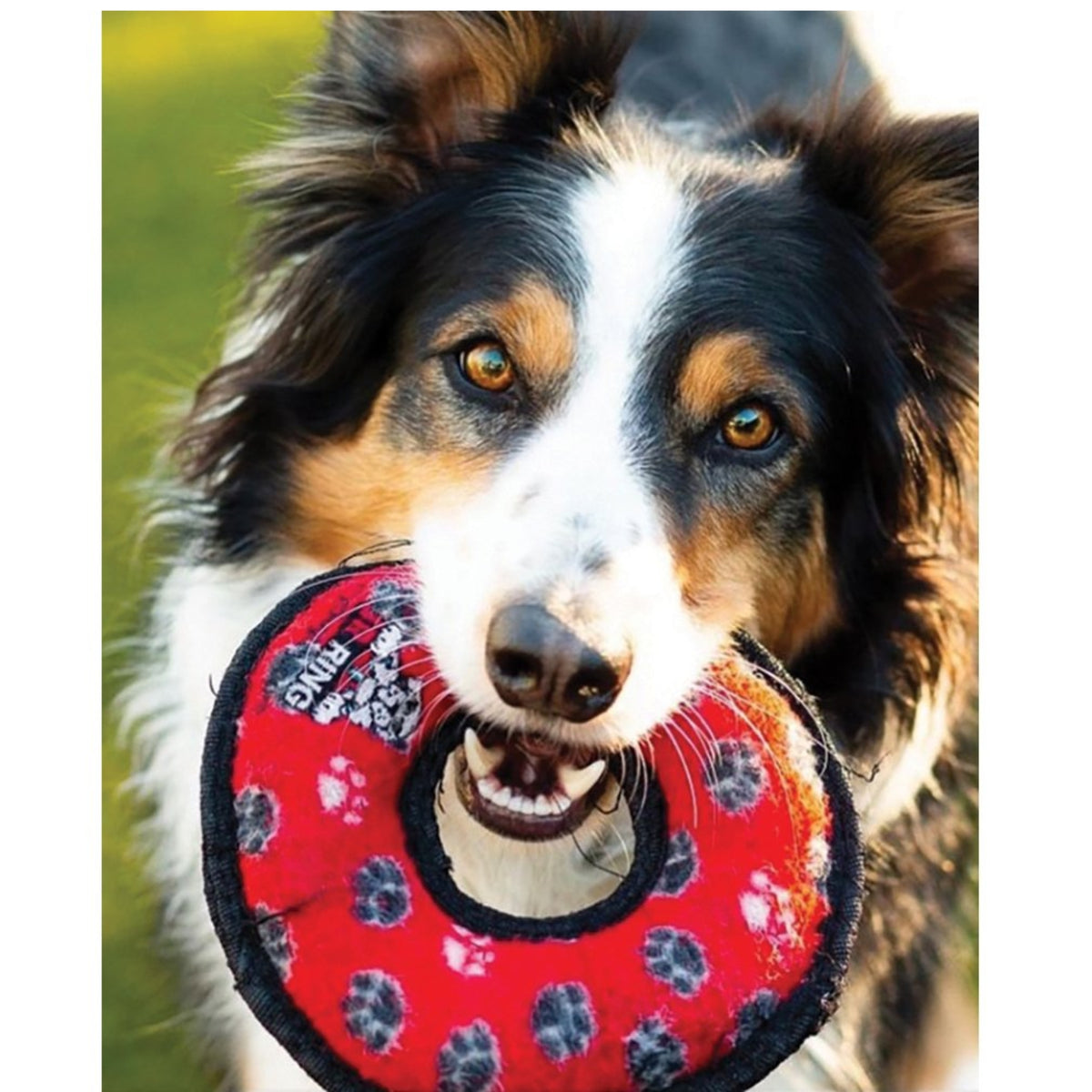 Tuffy JR Ring
