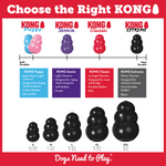 Kong Extreme Black Three Pack Value Bundle