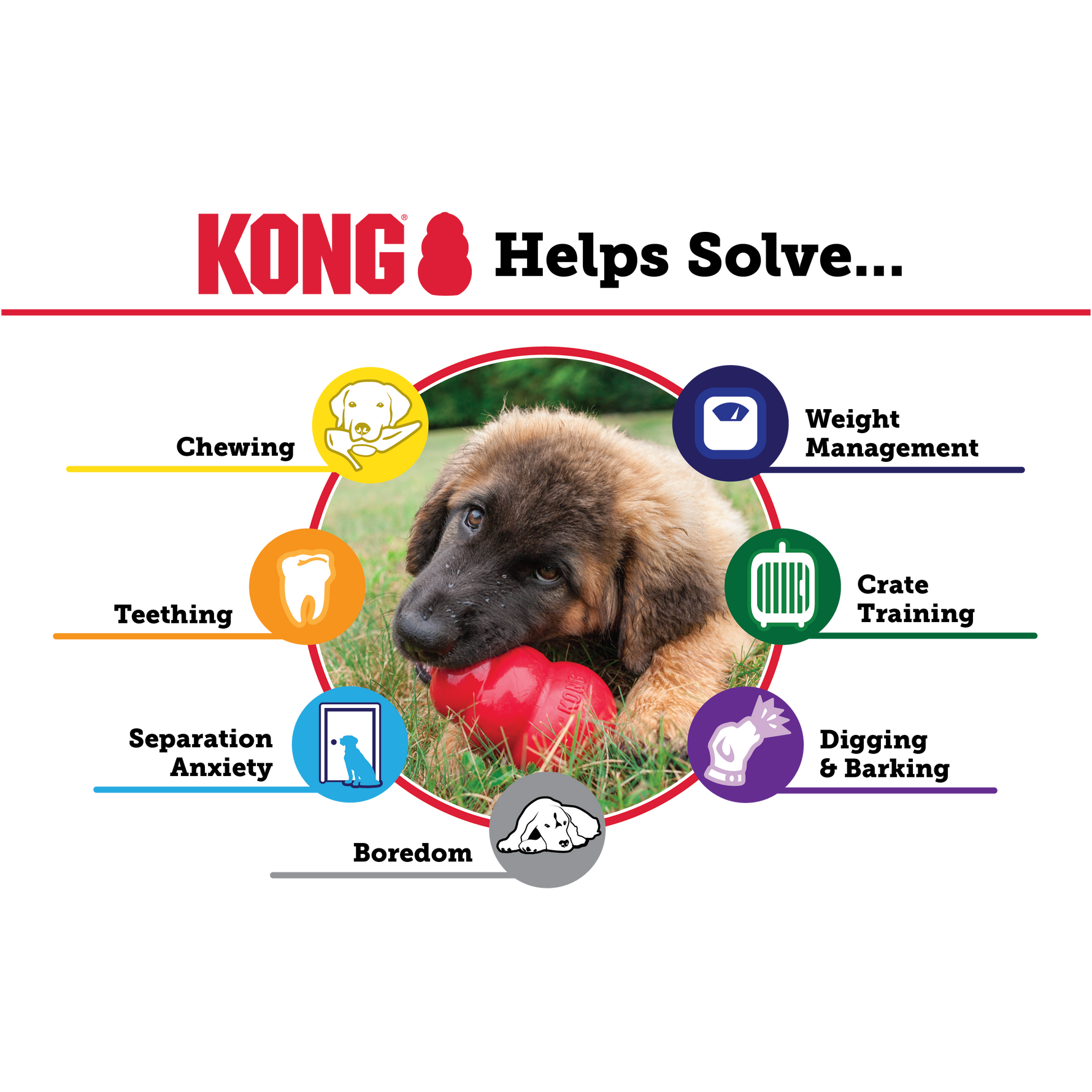 KONG Classic Red