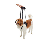 Kruuse Rehab Dog Lifting Harness - Front Legs