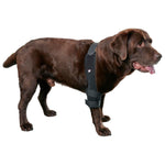 Kruuse Rehab Pro Elbow Protector